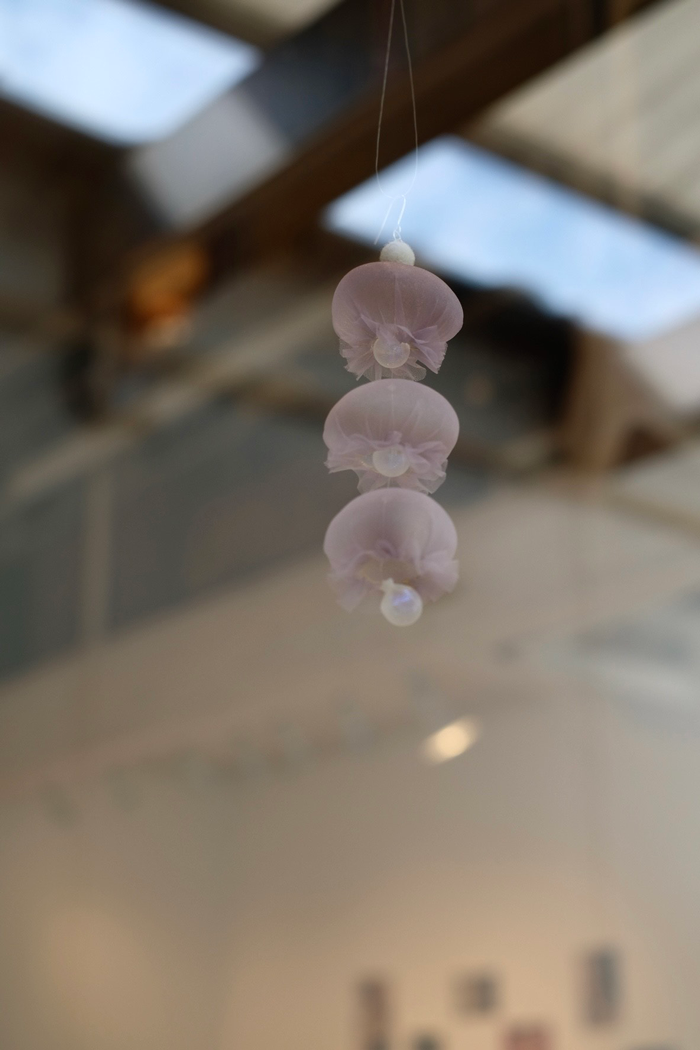 チーム「6201」による和菓子とパッケージの展覧会